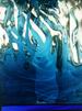 Stockhausen Isensee Kunst Art Glas Malerei Zeichnung, Radierung, Drawing